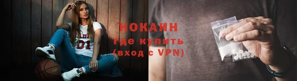 молекула духа Балахна