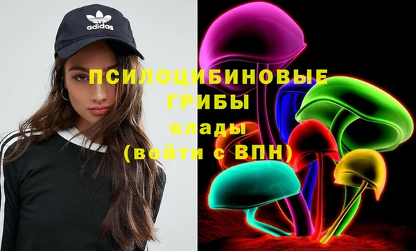 мяу мяу мука Баксан