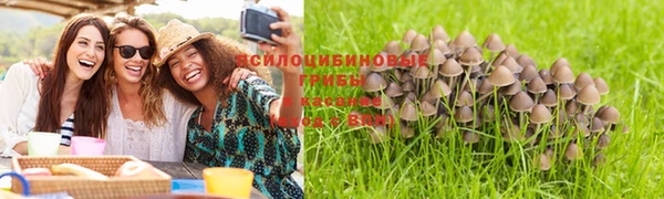мяу мяу мука Баксан