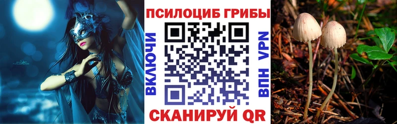 продажа наркотиков  Галич  Псилоцибиновые грибы мухоморы 